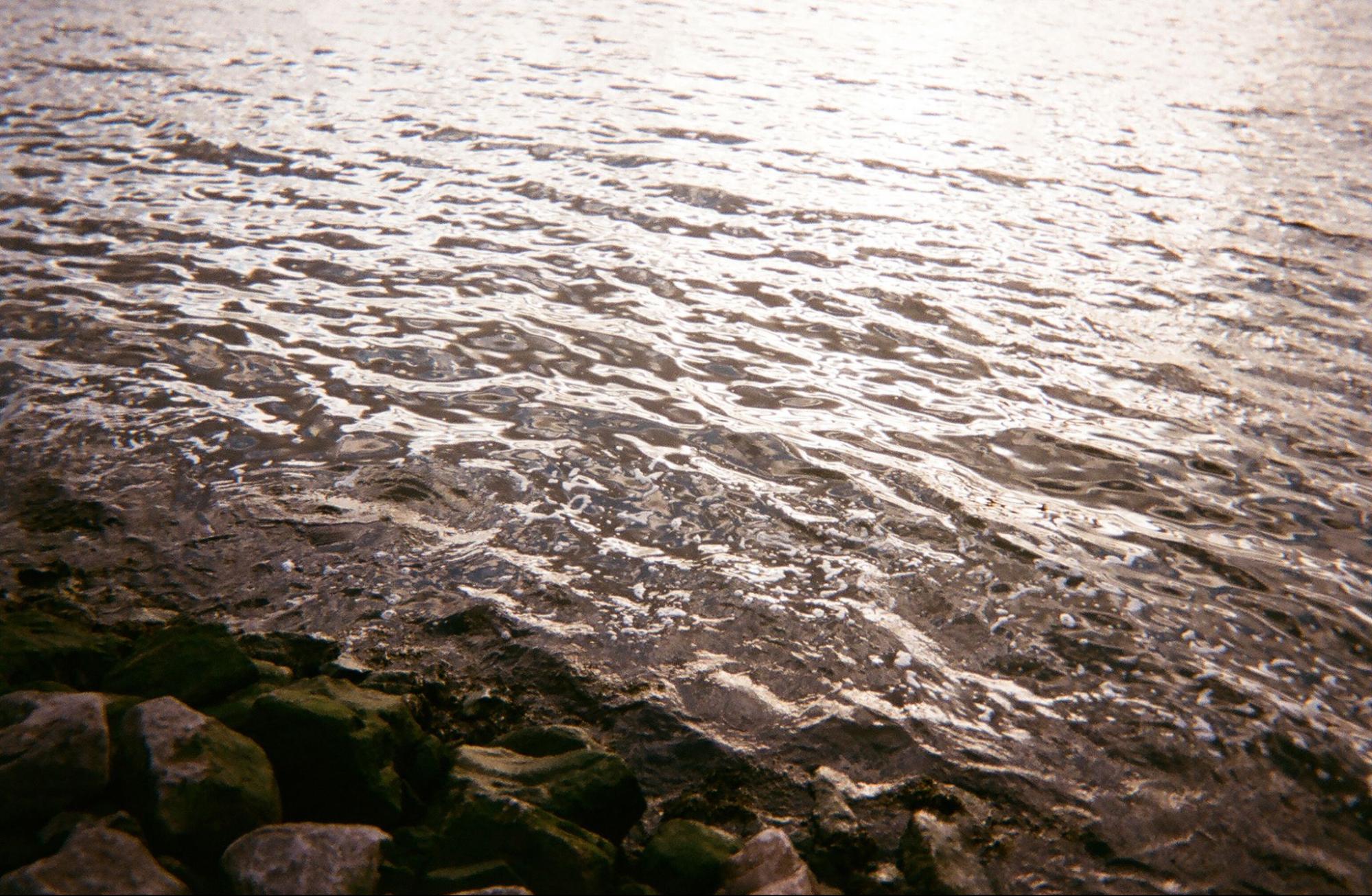 Hudson River shoreline, mossy rocks in foreground, light rippling on the water